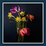 Hans Kirsch - Vergänglichkeit 
  NIKON D750, 24.0-120.0 mm f/4.0 
  0,1 sec., f 10, ISO 200  -0,33 EV, Brennweite 28 mm (35 mm Äquivalent ~ 42 mm)