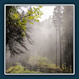 Ernst Weiss - Dauerdunst 
  Canon EOS 5 Mark III, Canon EF24-105mm f/4L IS USM 
  1/1600 sec., f 5,6, ISO 250, +0,33 EV Brennweite 28 mm