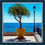 Thomas  Seethaler - All'angolo 
  Panasonic DC-G9, LEICA DG 12-60/F2.8-4.0 
  1/2500 sec., f 5,6, ISO 100 -1EV, Brennweite 24 mm (35 mm Äquivalent ~ 48 mm)