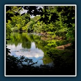 Andreas Blättner - Natur pur 
  Nikon Z 6, NIKKOR Z 24-200mm f/4-6.3 VR 
  1/160 sec., f11, ISO 100 Brennweite 67 mm