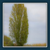 Helmut Benz - Der Solitär 
  Nikon D600 
  1/30 sec., f 11, ISO 280 1,33 EV, Brennweite 90 mm