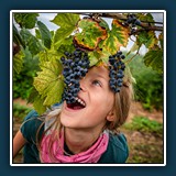 Andreas Blättner - Weinbiss 
  Nikon Z 6, NIKKOR Z 28-75mm f/2.8 
  1/250 sec., f 4,5, ISO 100 Brennweite 28 mm