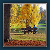 Walter Anstett - Herbst 
  NIKON COOLPIX P7700 
  1/250 sec., f 3,5, ISO 100 Brennweite 25 mm (35 mm Äquivalent ~ 117 mm)