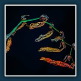 Gerd Stauder - Trockenblume 
  SONY 7, FE 90mm F2.8 Macro G OSS 
  1/20 sec., f 6,3, ISO 640 Brennweite 90 mm