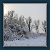 Ernst Weiss - Wintermorgen 
  Canon EOS 5 Mark III, Canon EF24-105mm f/4L IS USM 
  1/800 sec., f 8, ISO 100 0,67 EV, Brennweite 40 mm