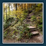 Dieter Schuhmann - Karlstalschlucht im Herbst 
  NIKON D7200, 16.0-80.0 mm f/2.8-4.0 
  1/125 sec., f 5,, ISO 160 Brennweite 16 mm (35 mm Äquivalent ~ 24 mm)