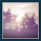 Andreas Skrenty - losgelöst 
  OLYMPUS E-M10MarkII 
  1/4000 sec., f , ISO 200 Brennweite  mm