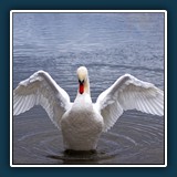 Alfred Schneider - Fotoshooting