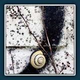 Helmut Benz - Schneckenpfad 
  Apple iPhone 5s, back camera 4.15mm f/2.2 
  1/265 sec., f 2.2, ISO 32 Brennweite 4,1 mm (35 mm Äquivalent ~ 29 mm)