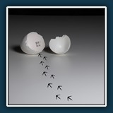 Dieter Schuhmann - ohne 
  NIKON D7200, 16.0-80.0 mm f/2.8-4.0 
  0,5 sec., f 18, ISO 100 Brennweite 60 mm (35 mm Äquivalent ~ 90 mm)