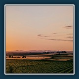 David Williams - Pfalz erwacht 