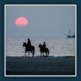 Andreas Blättner - Sehnsucht 
  FUJIFILM FinePix S3Pro, 70.0-300.0 mm f/4.0-5.6 
  1/180 sec., f 5.6, ISO 400, Brennweite 300 mm (35 mm Äquivalent ~ 450 mm)