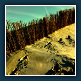 Helmut Benz - Dünenzaun 
  Nikon D600
  1/100 sec., f 16, ISO 200, Brennweite 24 mm