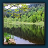 Ernst Weiss - Idylle 
  Canon EOS 7D, Sigma Objektiv: 18-250mm 
  1/80 sec., f 5.6, ISO 200, Brennweite 18 mm (35 mm Äquivalent 28,8 mm)