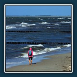 Walter Anstett - beach walk 
  Olympus E-M1 Mark II, OLYMPUS M.12-100mm F4.0 
  1/1250 sec., f 11, ISO 200, -1.7 EV, Brennweite 0 mm (35 mm Äquivalent 10 mm)