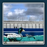 Ernst Weiss - Trockenschwimmer 
  Xiaomi 10 Plus