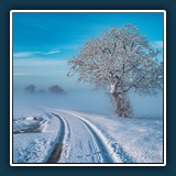 Andreas Blättner - Winterimpression 
  Nikon Z 6, NIKKOR Z 24-200mm f/4-6.3 VR 
  1/500 sec., f 5, ISO 100 Brennweite 39 mm