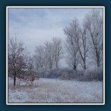 Ernst Weiss - Winterzauber 
  SONY DSC-RX100, 10.4-37.1 mm f/1.8-4.9 
  1/800 sec., f 5.6, ISO 200 0,3 EV 10,4 mm (35 mm Äquivalent ~ 28 mm)