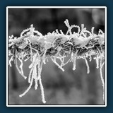 Hans Kirsch - Eisige Seilschaft 
  Nikon D750, 24.0-120.0 mm f/4.0 
  1/320 sec., f 8, ISO 200 EV -0,67, Brennweite , 92 mm (35 mm Äquivalent ~ 138 mm)