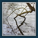 Erik Lüddecke - Spiegelung 
  SONY NEX-7, ohne 
  1/500 sec. ISO 400 EV 1