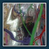 Erik Lüddecke - Selbstportrait 
  Sony NEX 7, ohne 
  1/160 sec., f , ISO 800,