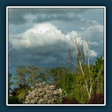 Dieter Schuhmann - Gewitterstimmung 
  NIKON D780, VR 24-70mm f/2.8E 
  1/500 sec., f 4.5, ISO 100, 1 EV, Brennweite 48 mm