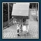 Helmut Benz - Auf Halde
  Apple iPhone 13 mini, wide camera 5.1mm f/1.6
  1/261 sec., f 1.6, ISO 40,  Brennweite 5.1 mm (35 mm Äquivalent ~ 32 mm)
  