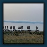 Ernst Weiss - Feierabend
  Xiaomi 10 Plus
  1/50 sec., f 1.8, ISO 54,  Brennweite 4,71 mm (35 mm Äquivalent ~ 26 mm)
  