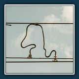 Andreas Skrenty - Peanuts
  OLYMPUS E-M1MarkIII, OLYMPUS M.12-200mm F3.5-6.3
  1/250 sec., f 10, ISO 100,  -0,3 EV, Brennweite  70 mm (35 mm Äquivalent ~ 140 mm)
  