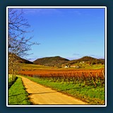 Walter Anstett - Herbst am Slevogt Hof