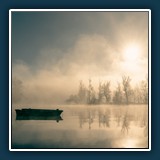 Anja Kleiner - morgennebel am altrhein