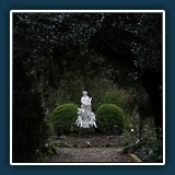 Erik Lüddecke - Verwunschener Garten
  SONY 6700, E PZ 16-50mm F3.5-5.6 OSS
  1/160 sec., f 7.1, ISO 200,  Brennweite 50 mm (35 mm Äquivalent ~ 75 mm)