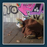 Walter Anstett - Obdachlos
  OM-5, LEICA DG 12-60/F2.8-4.0
  1/250 sec., f 3.5, ISO 2000,  Brennweite 23 mm