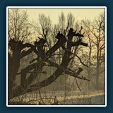 David Williams - Goldener Morgennebel
  Pixel 7 Pro, 19.0mm f/3.5
  1/370 sec., f 3.5, ISO 17,  Brennweite 19 mm (35 mm Äquivalent ~ 117 mm)