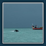 Anja Kleiner - island_best-of-52
  