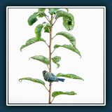 Andreas Blättner - Vertikale Begegnung
  NIKON Z6_3, NIKKOR Z 180-600mm f/5.6-6.3 VR Z TC-2.0x
  1/2000 sec., f 13, ISO 1800,  Brennweite 1200 mm
  