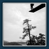 Helmut Benz - Mutprobe
  NIKON Z 6_2, NIKKOR Z 24.0-120.0 mm f/4.0 S
  1/800 sec., f 9, ISO 320,  EV -0.33, Brennweite 46 mm
  