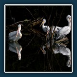 Margit Klaus - Wo ist die nächste Fischbude
  FUJIFILM  X-T50, XF50-140mmF2.8 R LM OIS WR
  1/5000 sec., f 5.6, ISO 8800,  Brennweite 106 mm  (35 mm Äquivalent ~ 159 mm)
  