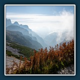 Margit Klaus - Gestaffelte Stille
  NIKON Z 6, NIKKOR Z 24-70mm f/2.8 S
  1/500 sec., f 8, ISO 100,  EV -1.33, Brennweite 24 mm
  