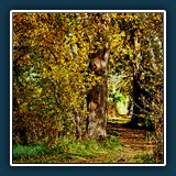 Walter Anstett - Der Weg ist das Ziel
  ohne, ohne
  ohne
  