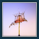 Dieter Schuhmann - Getropfte Krone
  NIKON D5100,
  1/160 sec., f 16, ISO 125, -0,33 EV, Brennweite 150 mm    (35 mm Äquivalent ~ 225 mm)
  